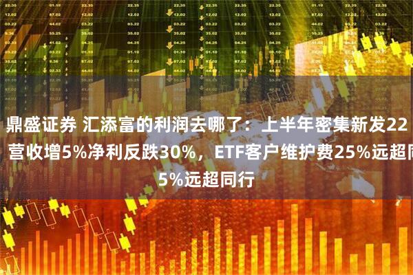 鼎盛证券 汇添富的利润去哪了：上半年密集新发22基，营收增5%净利反跌30%，ETF客户维护费25%远超同行