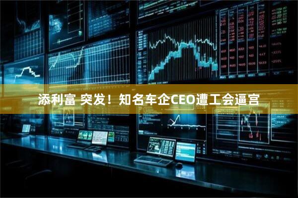 添利富 突发！知名车企CEO遭工会逼宫