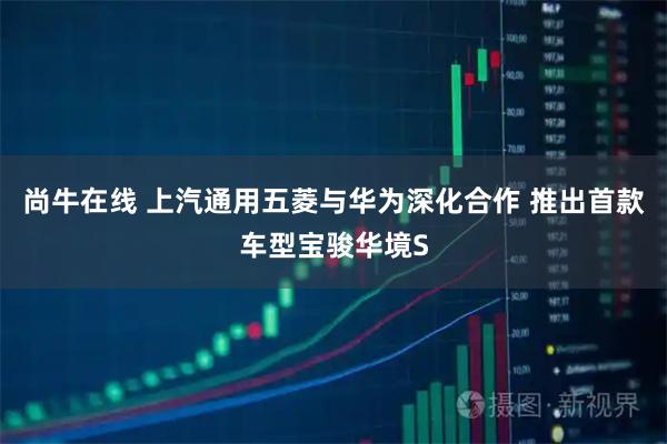 尚牛在线 上汽通用五菱与华为深化合作 推出首款车型宝骏华境S