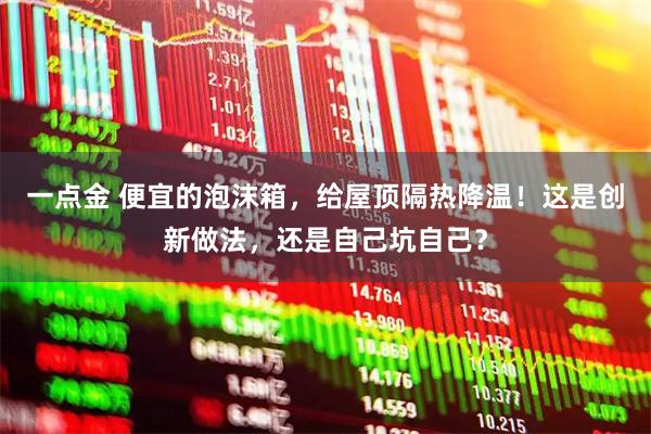 一点金 便宜的泡沫箱，给屋顶隔热降温！这是创新做法，还是自己坑自己？