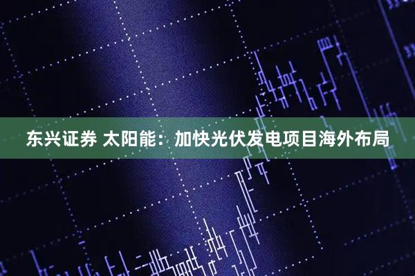 东兴证券 太阳能：加快光伏发电项目海外布局