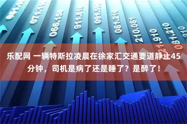 乐配网 一辆特斯拉凌晨在徐家汇交通要道静止45分钟，司机是病了还是睡了？是醉了！